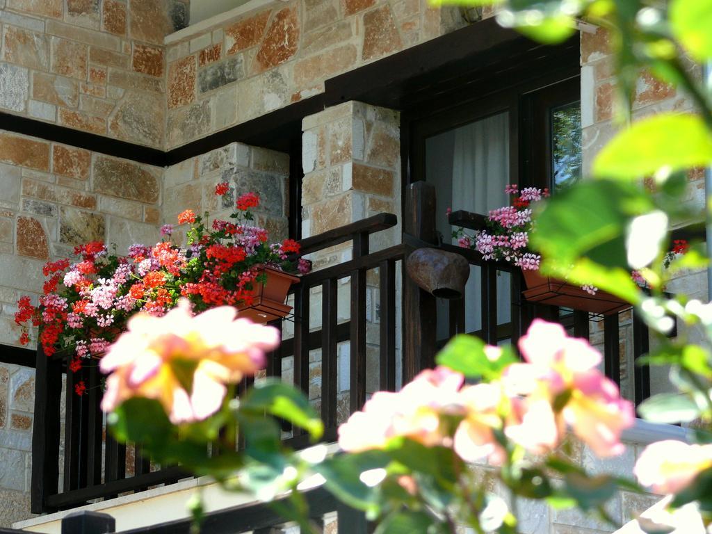 Petrini Gonia Aparthotel Livadero ภายนอก รูปภาพ